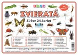 Súbor 24 kariet - zvieratá (hmyz) | A7 (10x7 cm), A6 (15x10 cm), A5 (21x15 cm), A4 (30x21 cm)