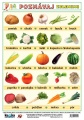 Poznávaj 1 - ovocie, zelenina