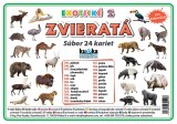 Súbor 24 kariet - exotické zvieratá 2 | A7 (10x7 cm), A6 (15x10 cm), A5 (21x15 cm), A4 (30x21 cm)
