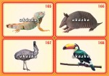 Súbor 24 kariet - exotické zvieratá 2